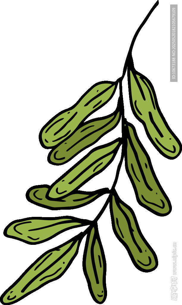 绿色枝叶插画