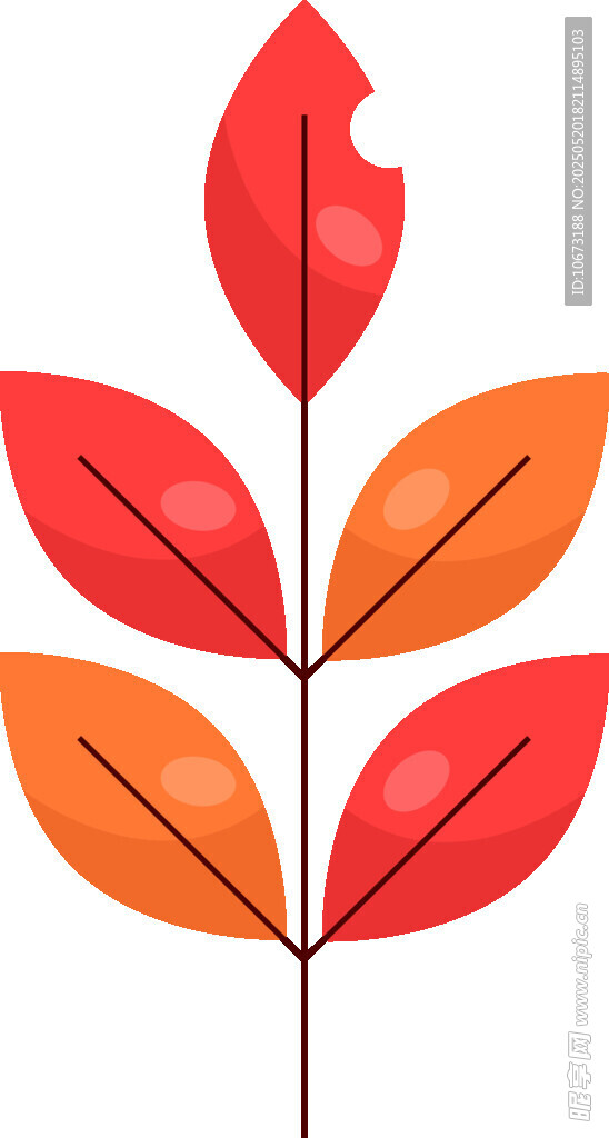 红色叶片插画