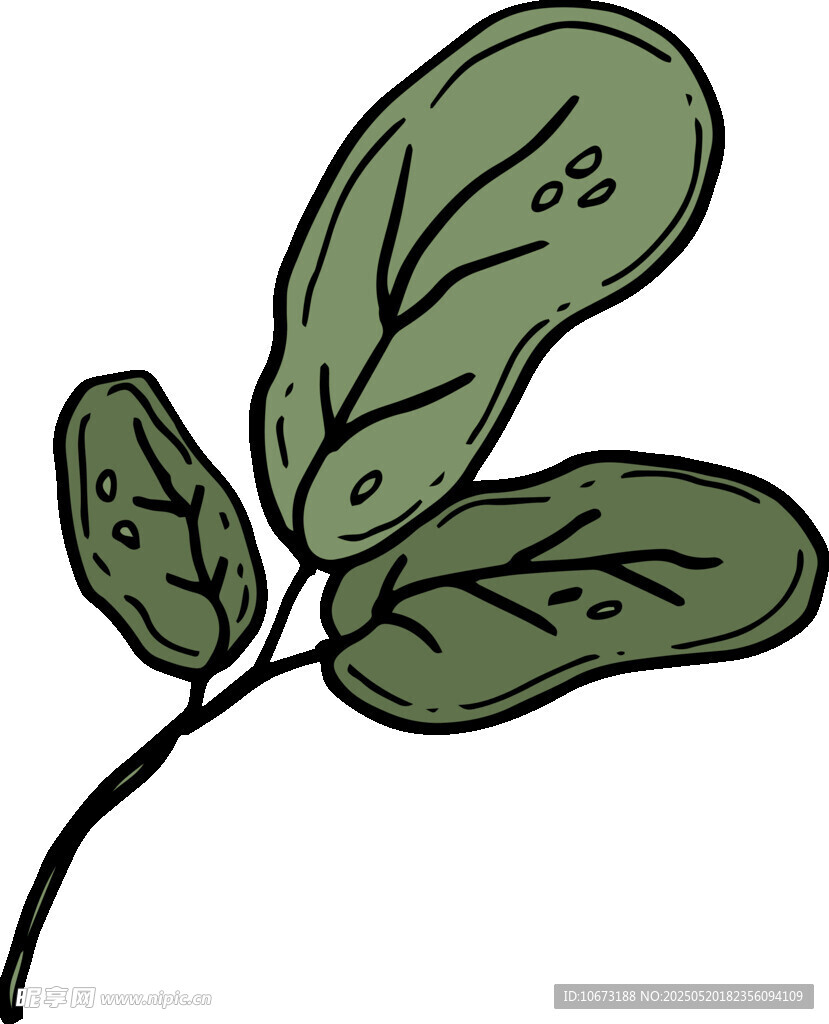 手绘绿叶植物插画
