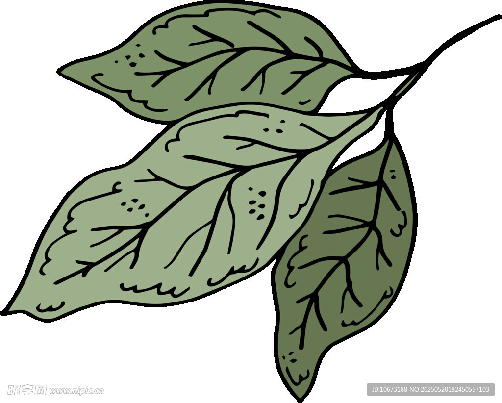 手绘绿叶植物枝条