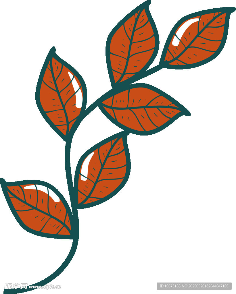 橙色叶片植物枝条插画