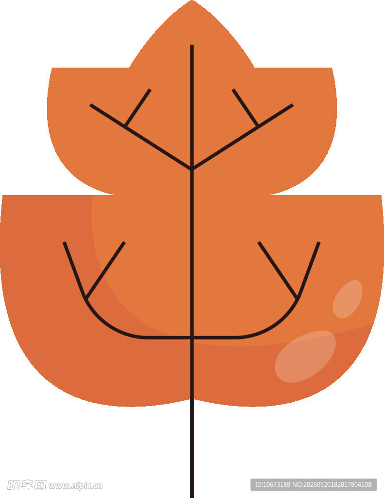 橙色枫叶插画