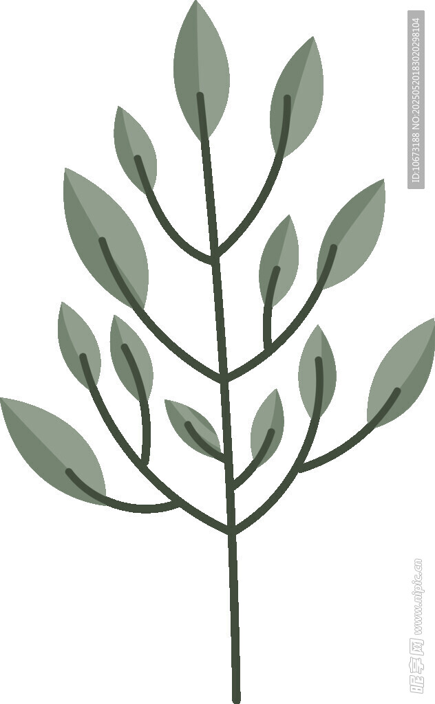 简约绿叶植物插画