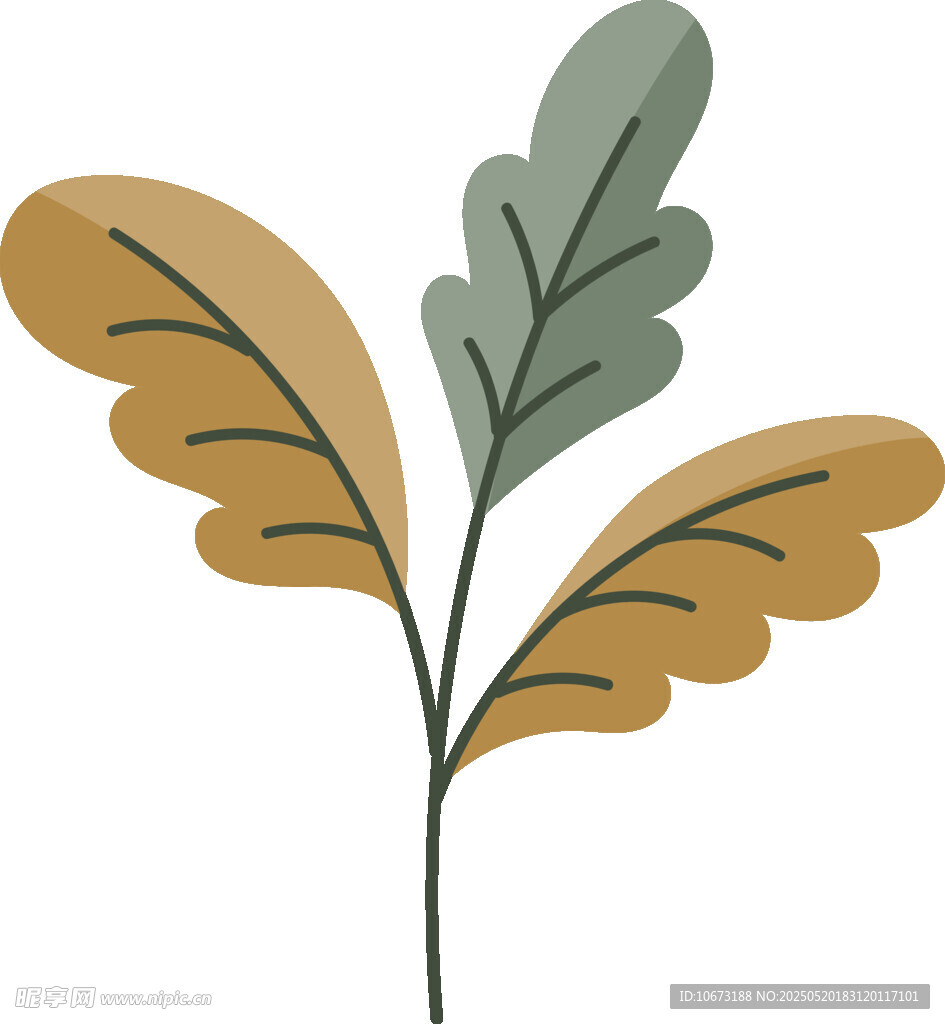简约植物枝叶插画