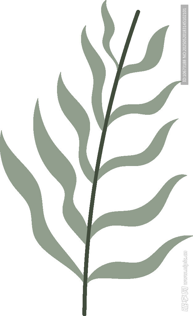 简约绿叶植物插画