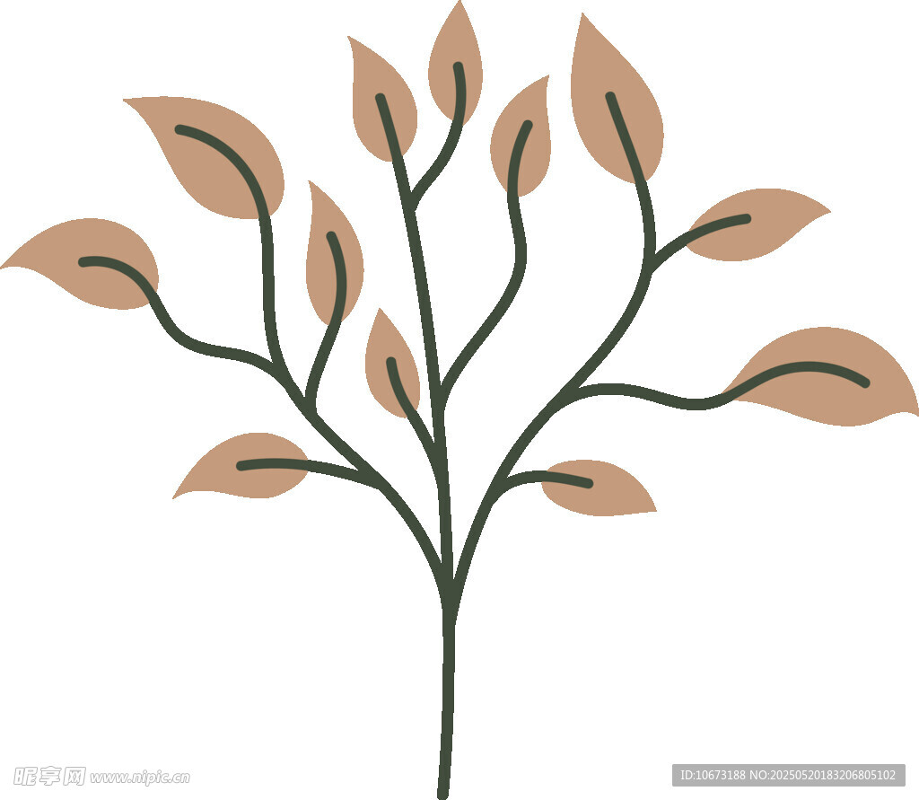 简约手绘植物枝叶图案