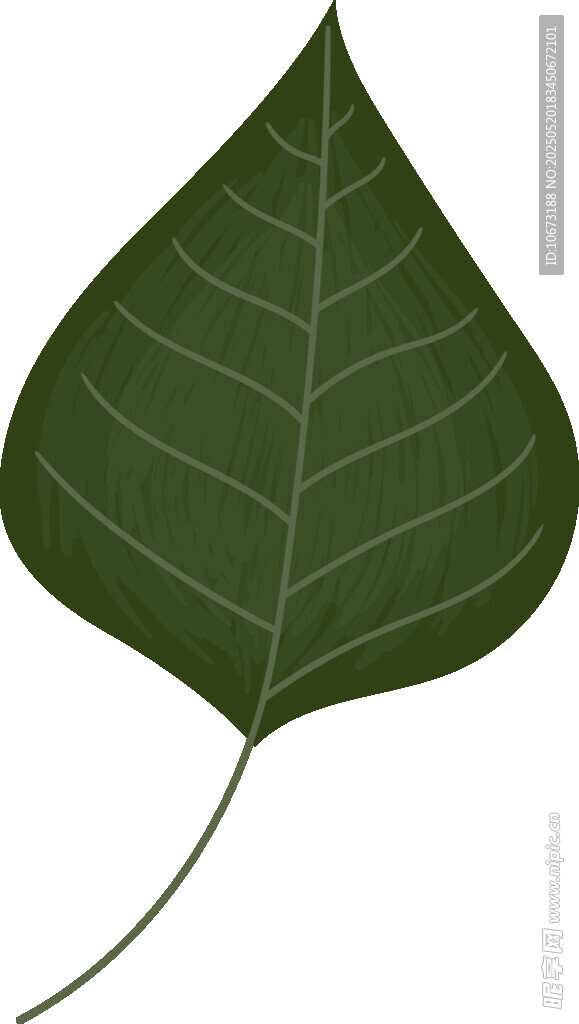 单片心形绿叶插画