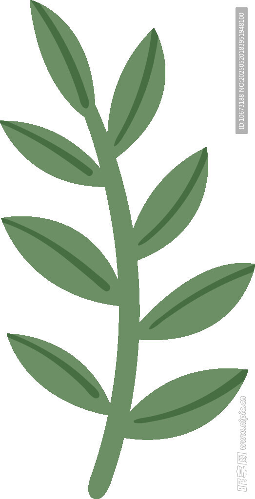 绿色枝叶插画