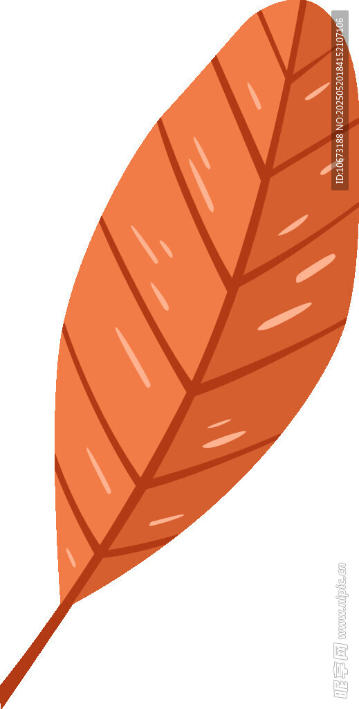 橙色叶脉叶片插画