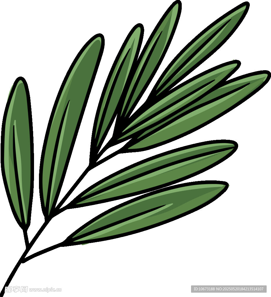 手绘绿色叶片植物枝条