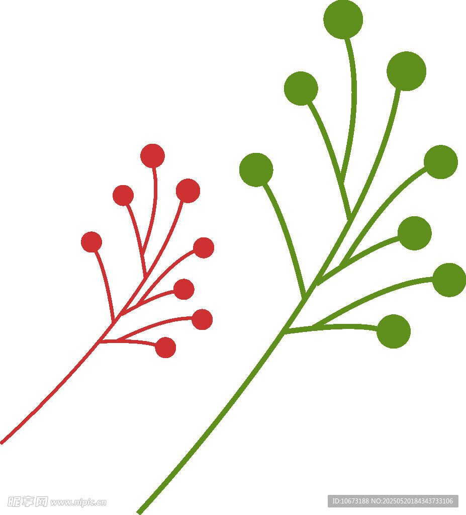 红绿植物枝条插画