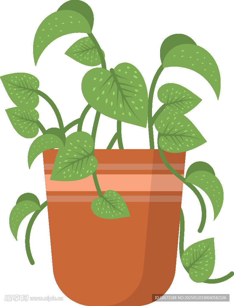 盆栽绿植 清新可爱小植物