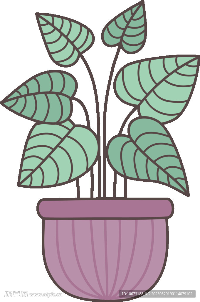 紫色花盆中的绿叶植物