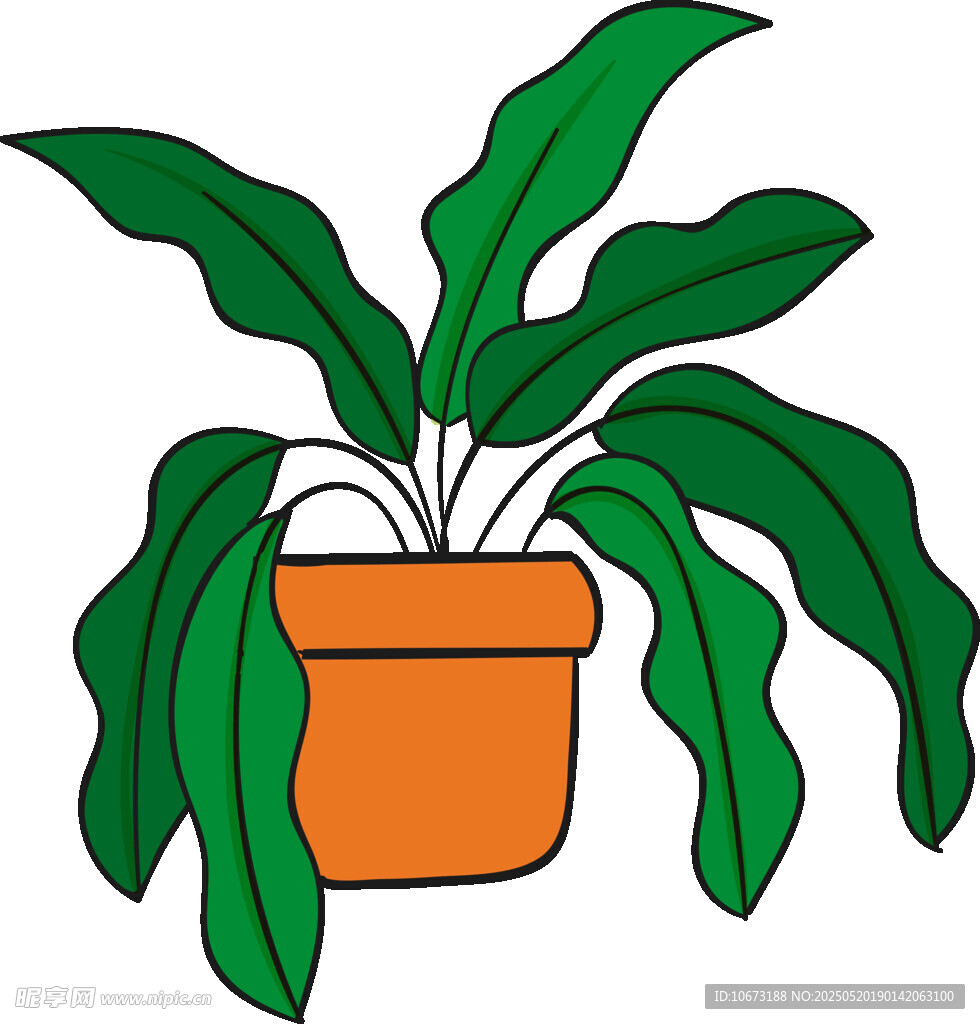 盆栽绿植插画