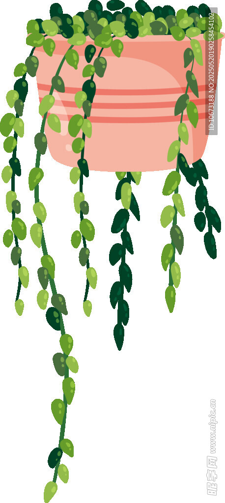 垂吊绿植装饰花盆画面
