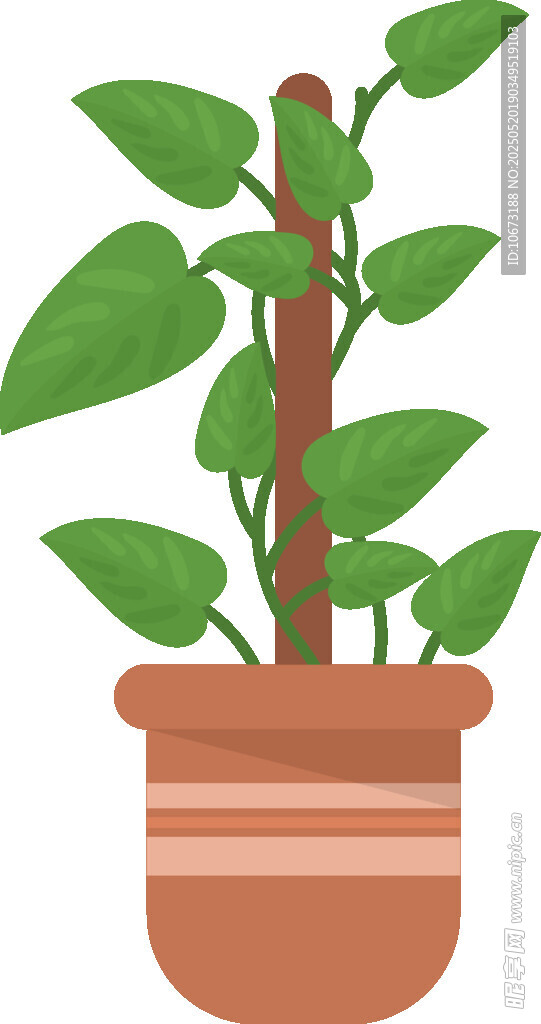 盆栽绿植插画