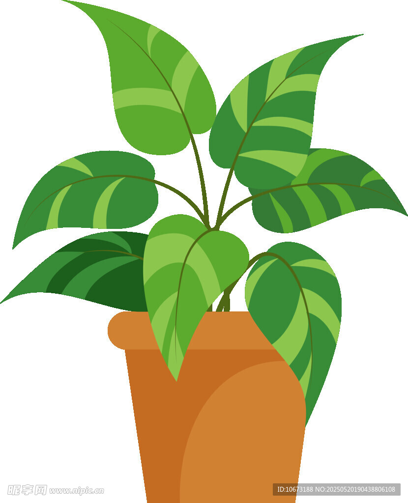 盆栽绿植插画