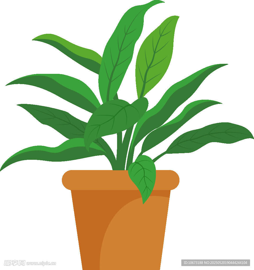 盆栽绿植插画