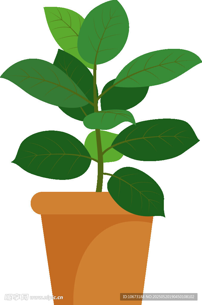 盆栽绿植插画