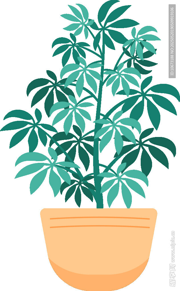 盆栽绿植 清新室内植物