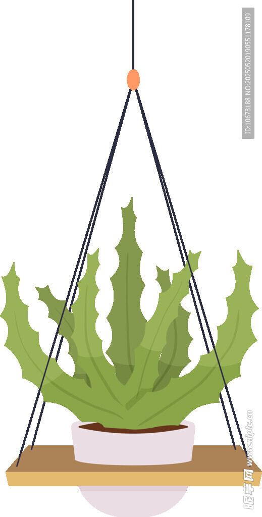 悬挂绿植盆栽仙人掌摆件