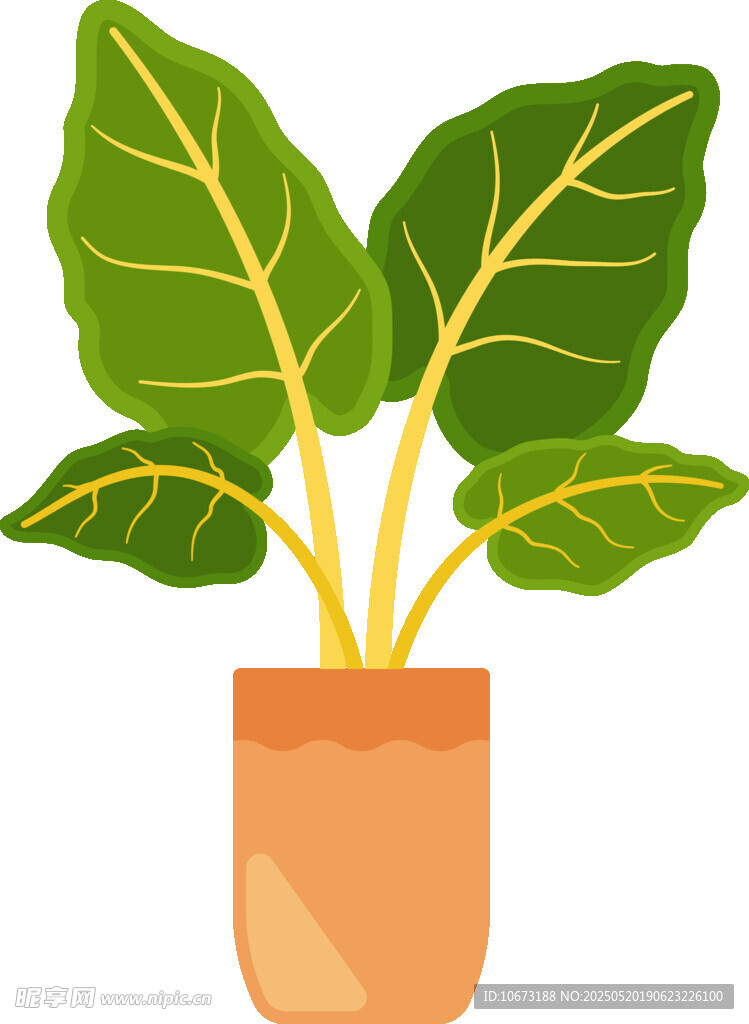 盆栽绿叶植物插画