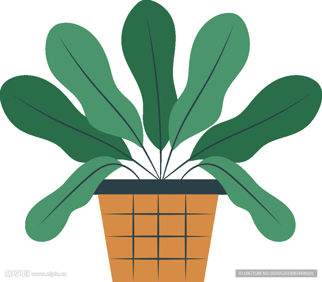 盆栽绿植插画