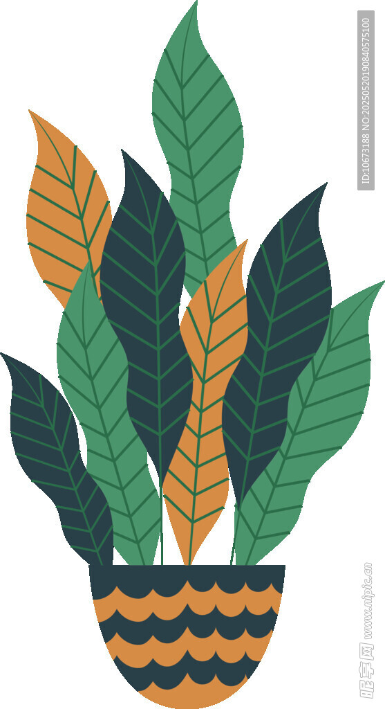 盆栽植物插画