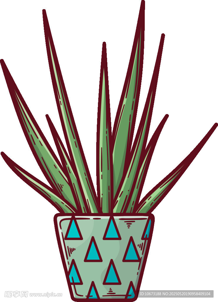 盆栽芦荟插画