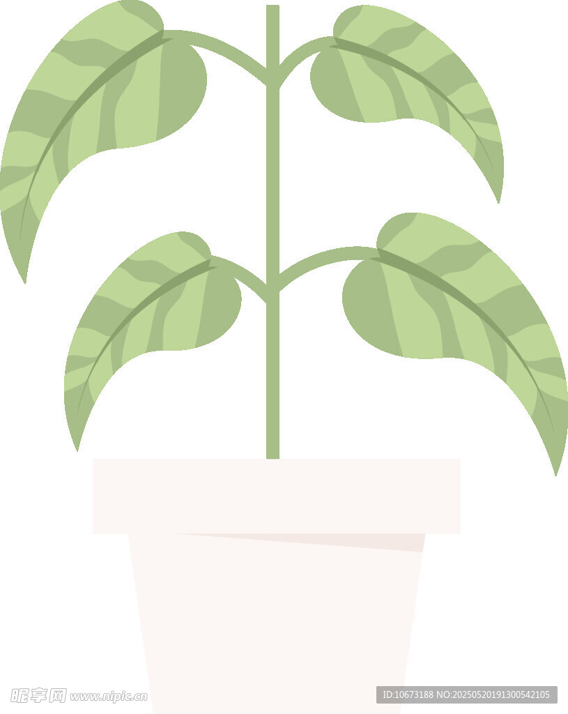盆栽绿植插画