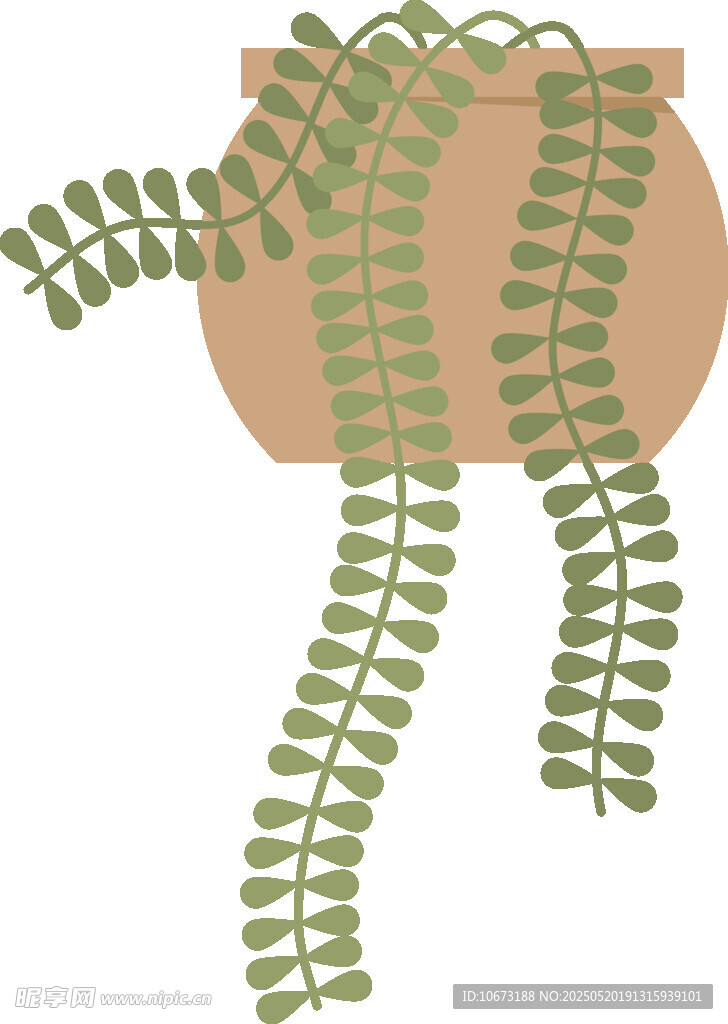 悬挂绿植盆栽插画