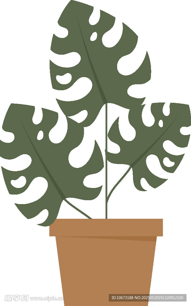 盆栽龟背竹植物插画
