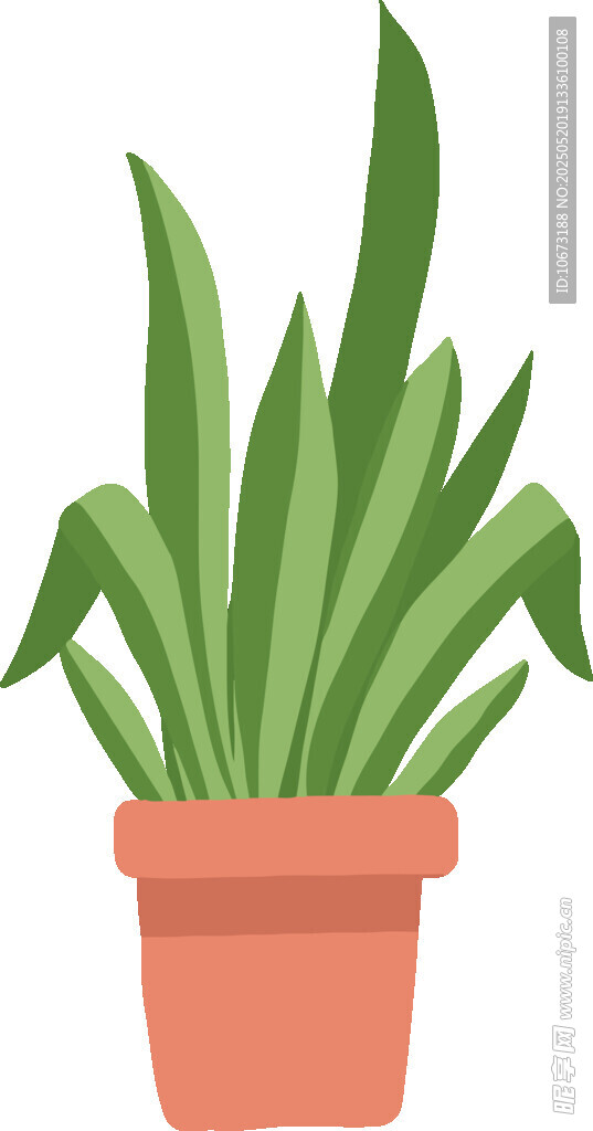 盆栽绿植 清新室内小植物