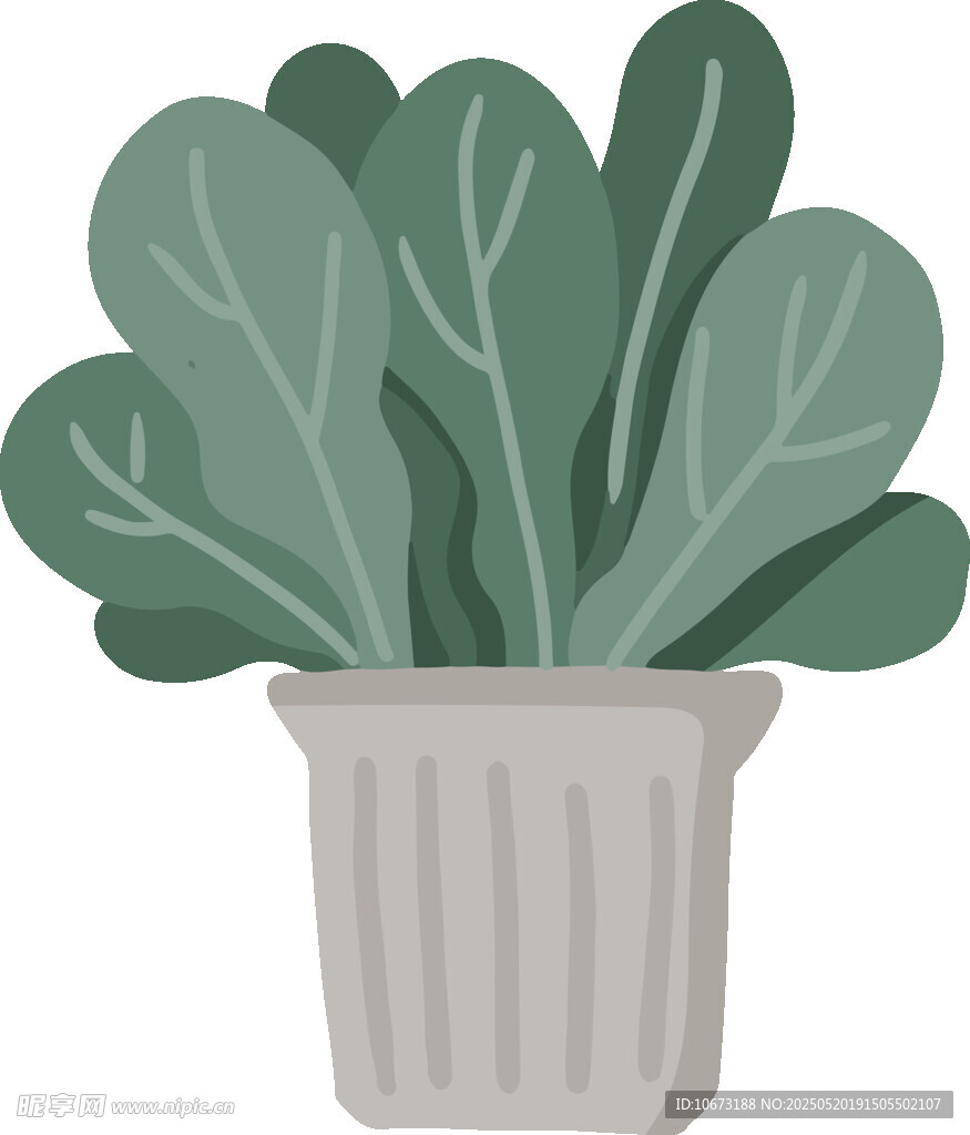 盆栽绿植插画