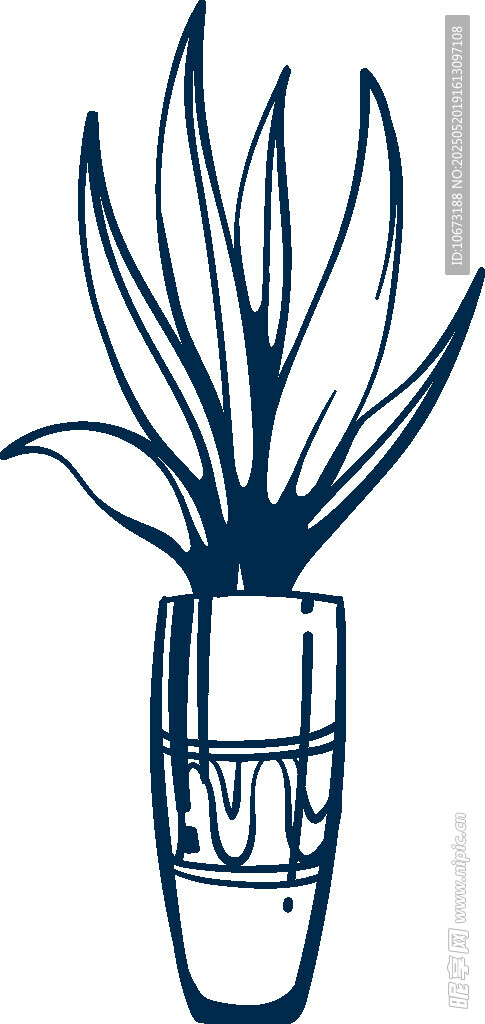 手绘盆栽植物插画