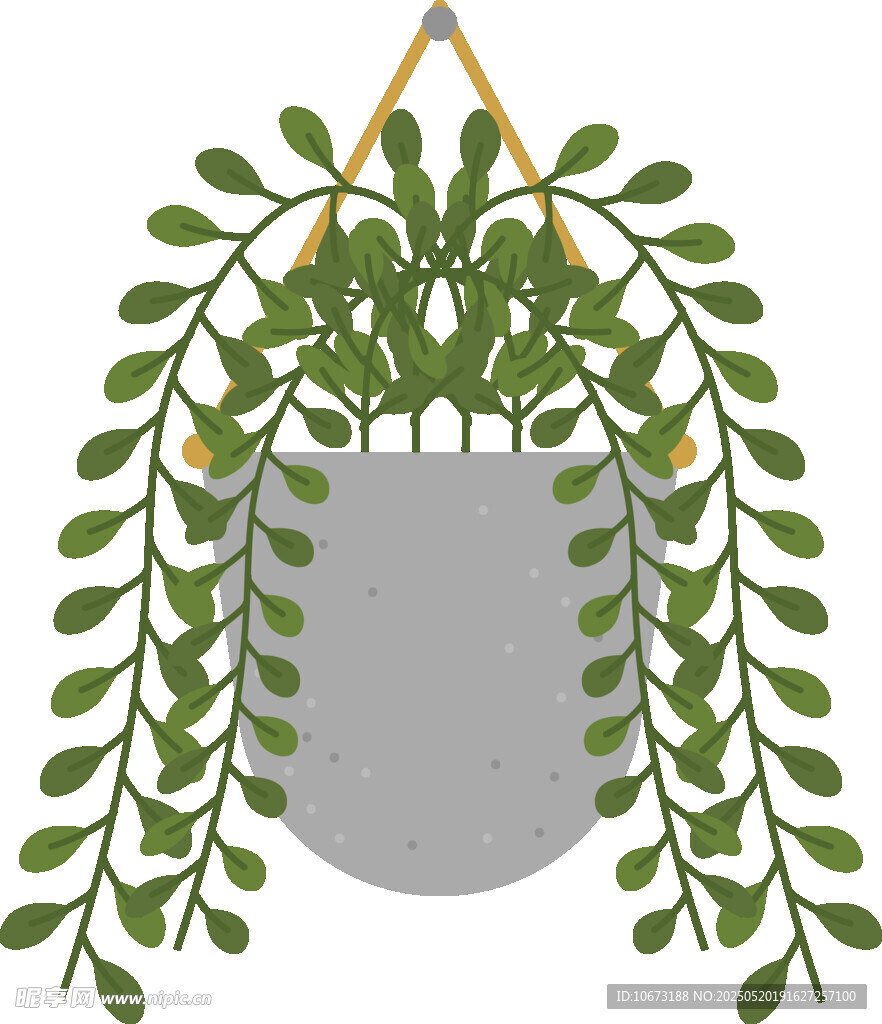 悬挂绿植盆栽