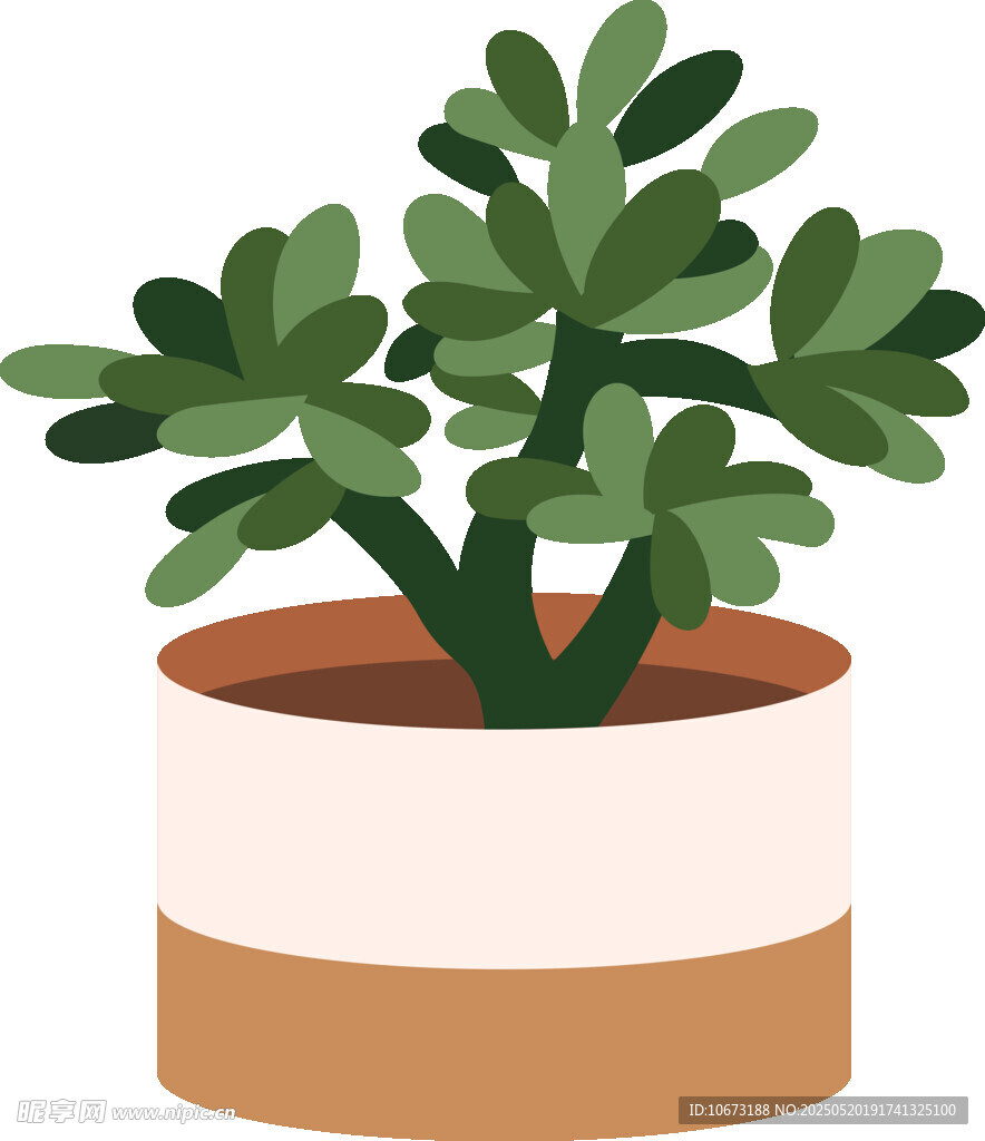 盆栽绿植 简约清新小植物