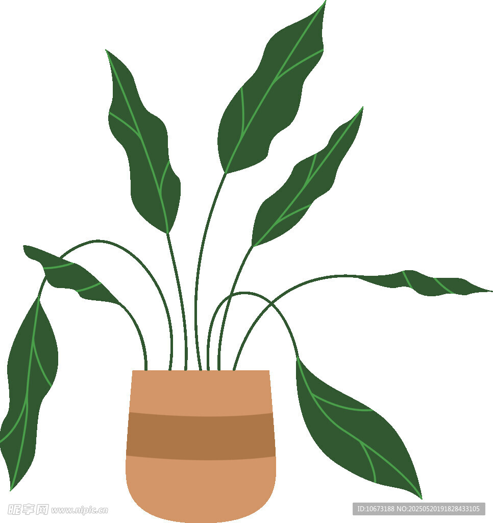 盆栽绿植插画