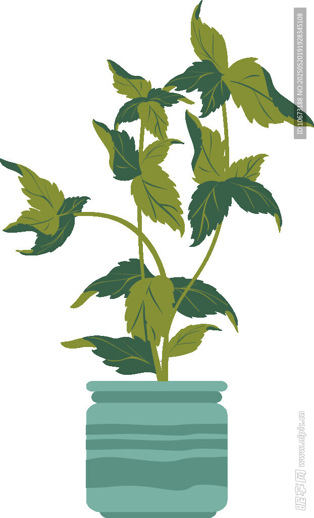 盆栽绿植插画
