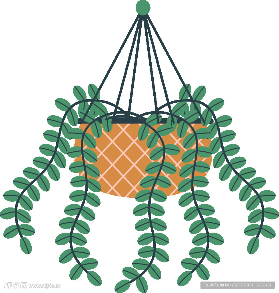 悬挂绿植盆栽插画
