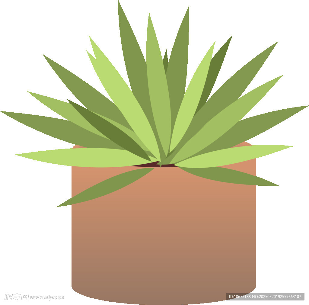 盆栽绿植插画