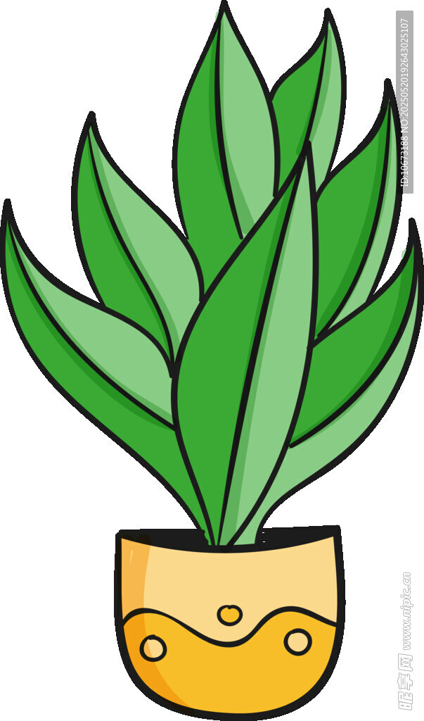 盆栽绿植插画