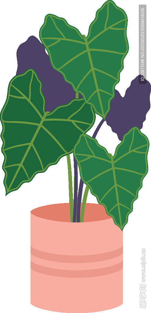 粉色花盆中的绿叶植物