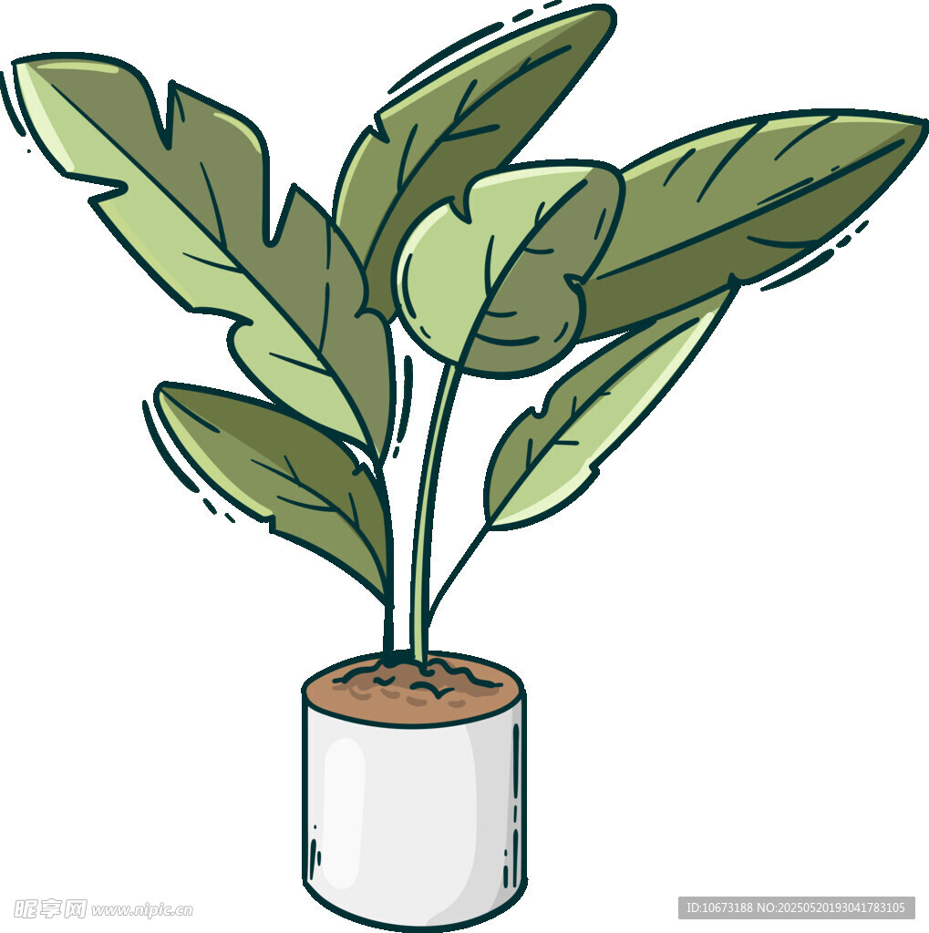 盆栽绿植插画
