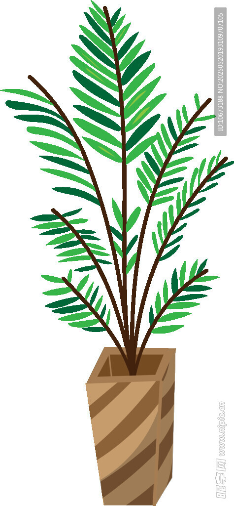盆栽植物插画