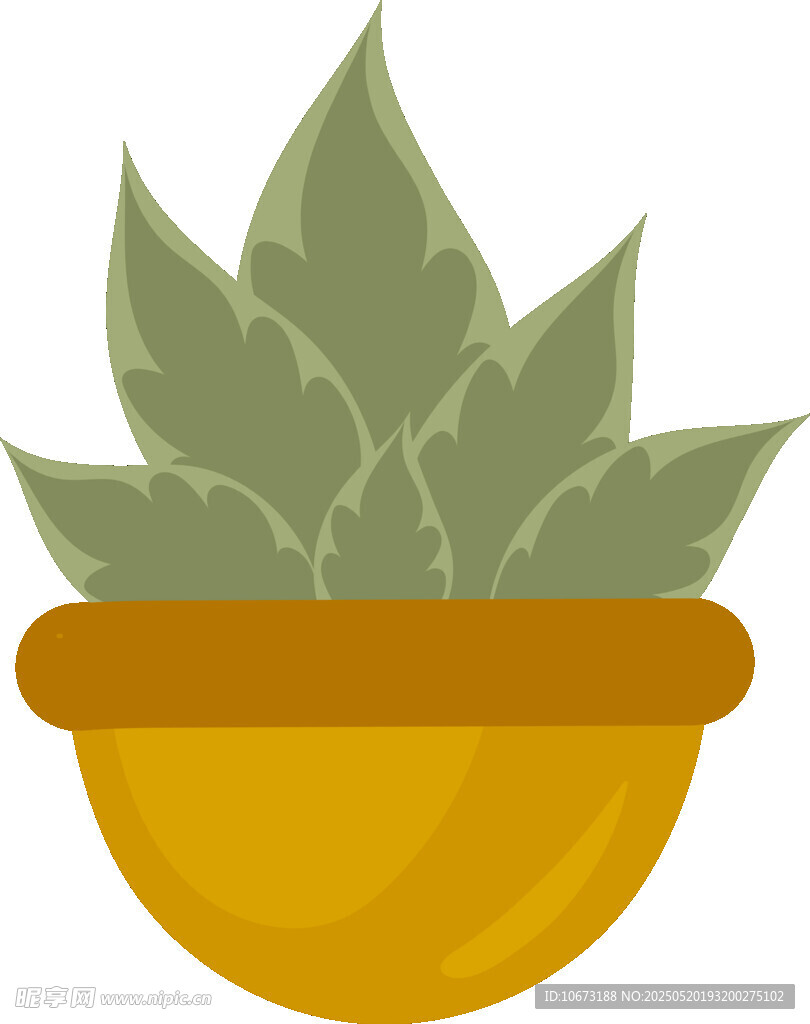 盆栽芦荟插画