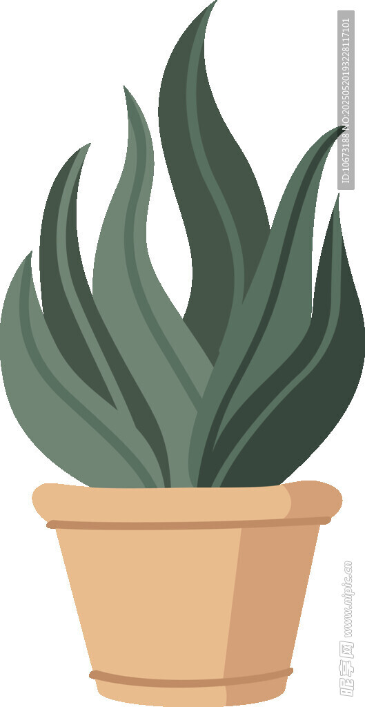 盆栽绿植 清新室内小植物