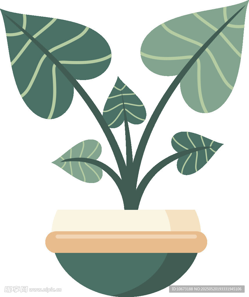 盆栽绿植插画