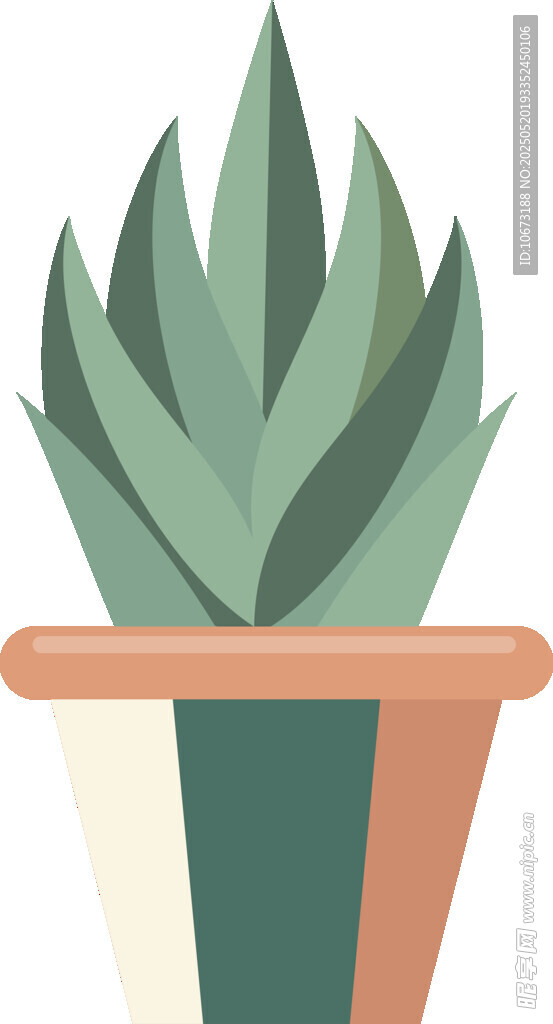 盆栽多肉植物插画