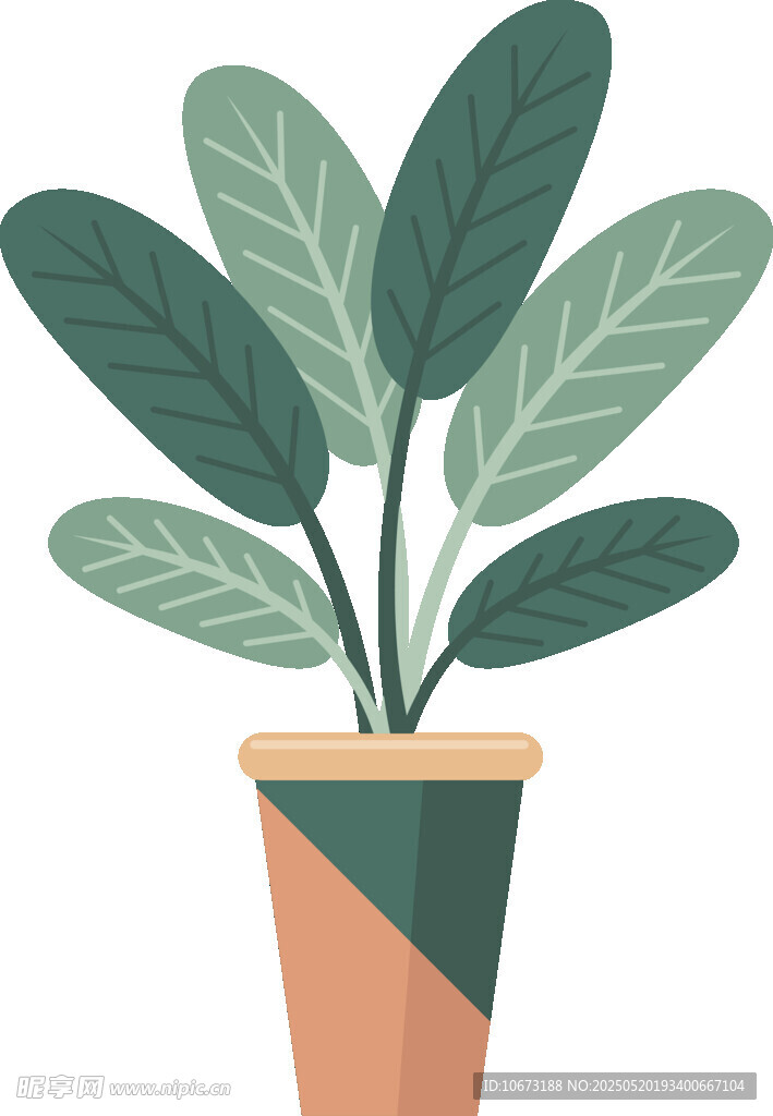 盆栽绿植插画